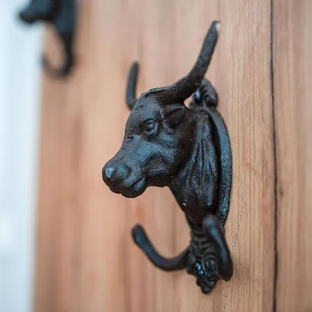 Apartmán Ski-In Area Apartment With Ski Bus *