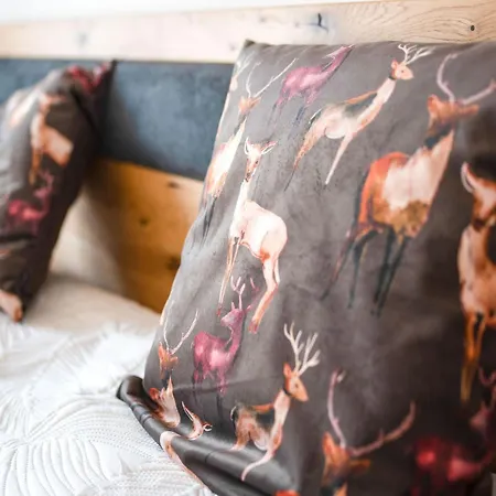 Ski-In Area Apartment With Ski Bus Mauterndorf (Salzburg)